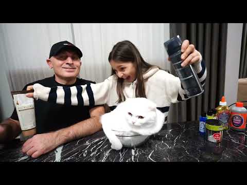 KEDİMİZ DORİN'İN SEÇTİĞİ MALZEMELERLE SLİME CHALLENGE