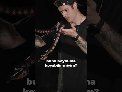 MR BEAST YILAN CHALLENGE!