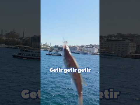 BALIK TUTUYORUZ!