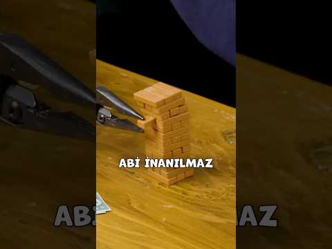 DÜNYANIN EN KÜÇÜK JENGASI