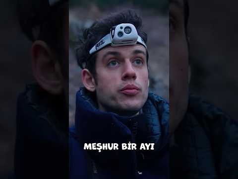 ÜNLÜ AYI 🐻