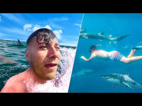 KÖPEKBALIKLARI İLE GÜVENLİKSİZ YÜZDÜM ?! 🦈