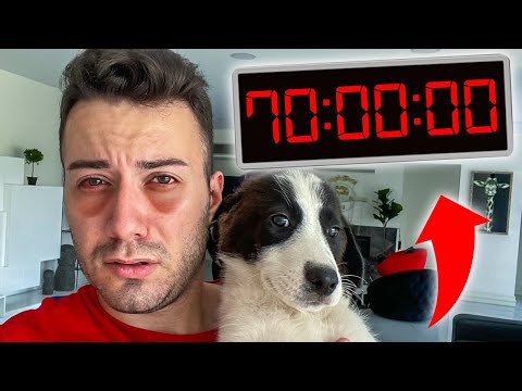 70 SAAT UYUMAMA CHALLENGE