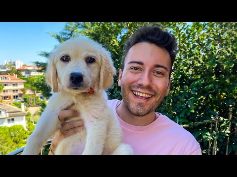 Dünyanın En Arkadaş Canlısı Köpeği 