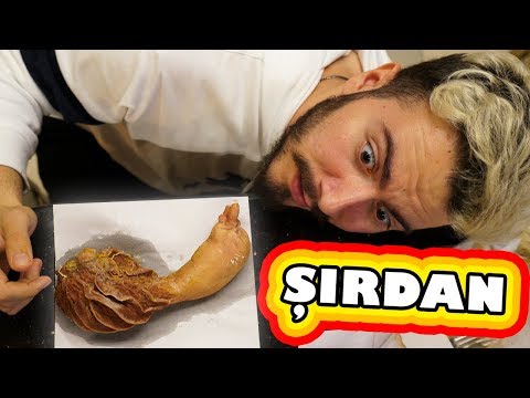 ŞIRDAN NEDİR ?! (İLK DEFA YEDİM)