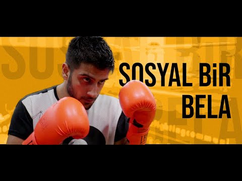 Sosyal Bir Bela