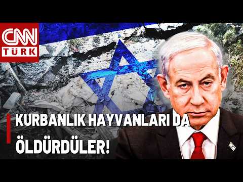 Kurban Bayramı İçin Gazze'de Kurbanlık Kalmadı! İsrail Gazze'de Hayvanları Da Öldürdü