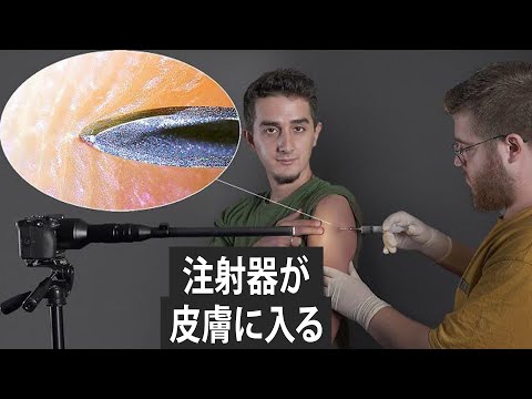 1000倍ズームのマクロカメラ！日常の物をクローズアップ撮ってみた