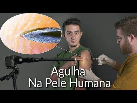 Dando Super Zoom em Objetos do Cotidiano (Teste de Câmera Macro de 1000x)