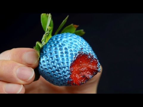 Hayvanlar Dünyayı Nasıl Görüyor?