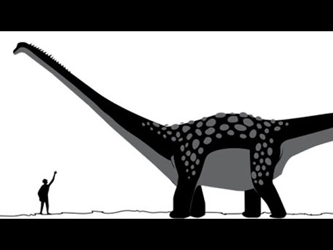 İnsan Vücudunun GÜÇ Limitleri - (En Fazla Ne Kadar İRİLEŞEBİLİRİZ?)
