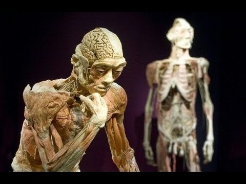 İnsan En Fazla Kaç Yıl Yaşayabilir?