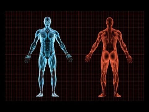 En Fazla ve En Hızlı Ne Kadar Koşabiliriz?