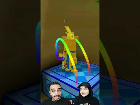 SÜPER AYI ŞOK!  SHİCKA 7 ANAHTAR TAŞIDI! 😱