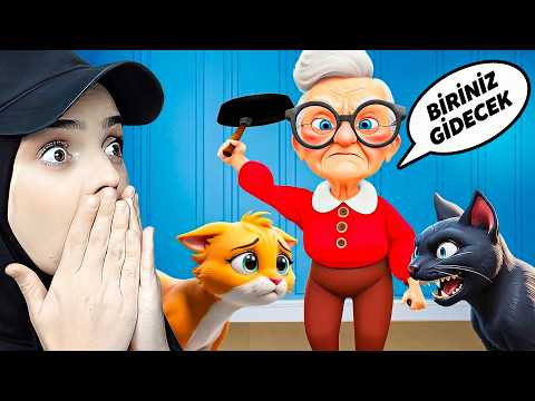 EYVAH! BU EVDEN BİRİ GİDECEK! AMA KİM?🐈😱