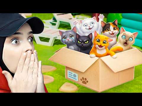 BU KEDİLER İLE BAŞIMIZ BELADA!😱🐱