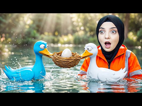 YUMURTAYI KIRMADAN YUVAYA GÖTÜR!🥚😱