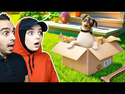 KARGO İLE KÖPEK GELDİ! BAKMASI ÇOK ZOR!🐕😱