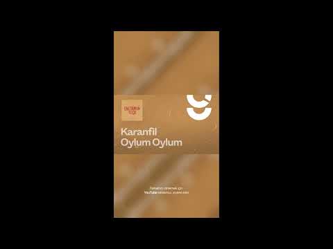 Karanfil Oylum Oylum #shorts