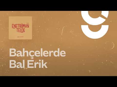 Bahçede Bal Erik - g. Enstrümantal