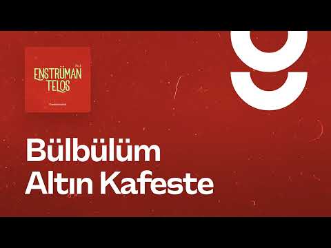 Bülbülüm Altın Kafeste - g. Enstrümantal
