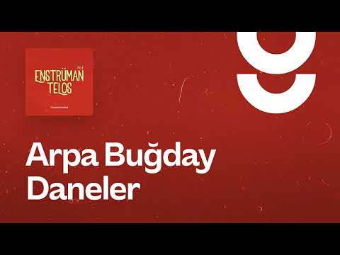 Arpa Buğday Daneler - g. Enstrümantal