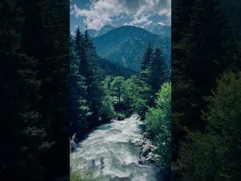 “Git başımın belasi…” #rize #usameismail #aydere #yayla #horon #kemençe #karadeniz