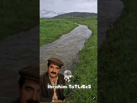 #ibrahimtatlıses #arabeskşarkılar #arabesk #damararabesk #iboshow #dertlitürküler #süpertürküler