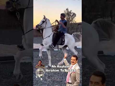 AH KEŞKEM / İBRAHİM TATLISES إبراهيم تاتليس #arabesk #arabeskşarkılar #ibrahimtatlıses