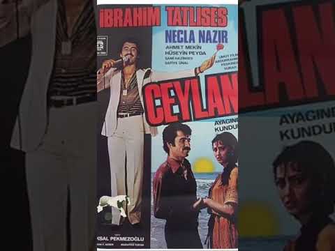 Ceylan / İbrahim tatlıses #arabesk #ibrahimtatlıses #arabeskşarkılar #iboshow #damararabesk