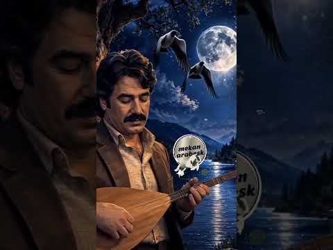 FERDİ TAYFUR 70'LERİN EN İYİ ARABESK ŞARKILARI #ferditayfur #classicmusic #arabesk