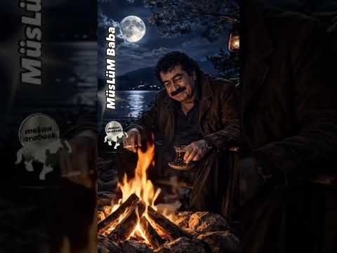 GECE ŞARKILARI / MÜSLÜM GÜRSES