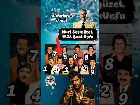 Ah Neyleyim Gönül / Nuri Sesigüzel #dertlitürküler #türkülerimiz #nurisesigüzel