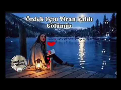 Ördek Uçtu Viran Kaldı Gölümüz / ai music cover #müslümgürses #ferditayfur #ibrahimtatlıses 