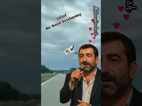 Kendi gününde, kendi saatinde, kendi sesinden, türküler