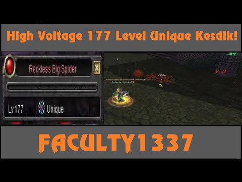 Silkroad Online Legend 23 Güncellemesi HighVoltage ile Reckless Big Spider 177 Level Unique Kestik!