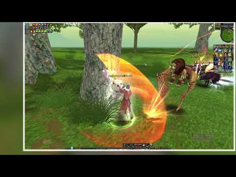 Silkroad Online Feronia - Mirror Fight
