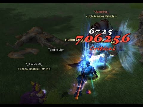 Silkroad - Feronia - RiseOfKings (700k damage not with buffer)