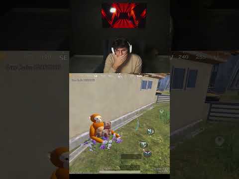 sad monkey