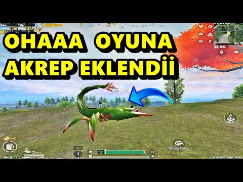 OHAAA OYUNA AKREP EKLENDİ ! BATUR GAME SOLO SQUAD PUBG MOBİLE
