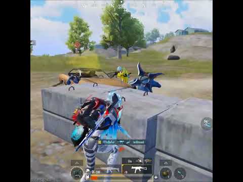 OYYYY