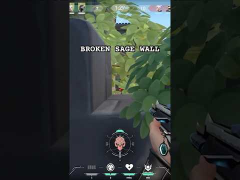This Sage Wall is BROKEN