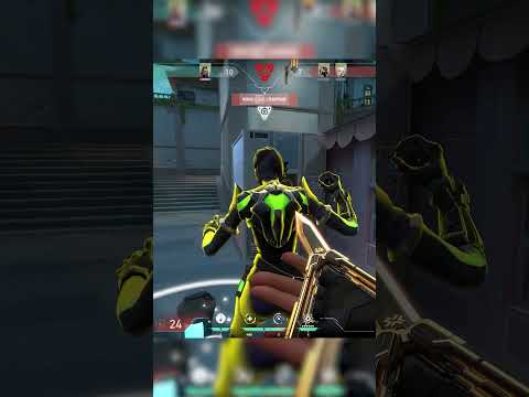 NEW BEST BUG!