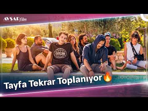 Tayfa Tekrar Toplanıyor: Biz Böyleyiz | Boran Kuzum & Şebnem Bozoklu & Özge Özpirinçci & Hümeyra