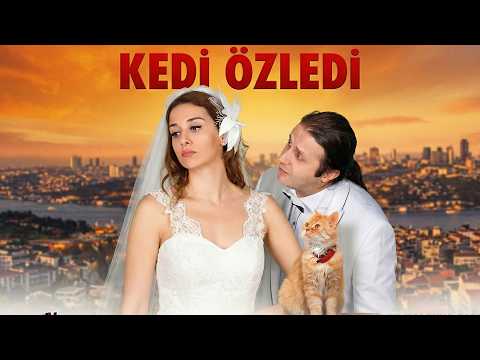 Kedi Özledi | İlker Ayrık & Algı Eke Full HD Komedi Filmi