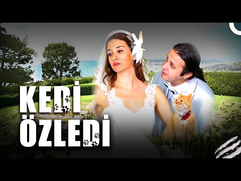 _Koc_PizkSE