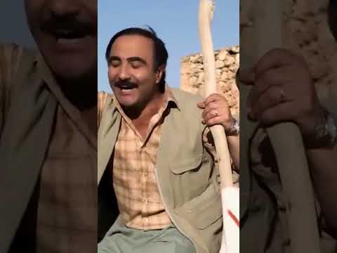 Tinne'ye Yabancı Gelin Heyecanı! #avşarfilm #aylavyu #shorts