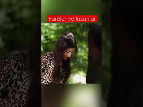 Fareler ve İnsanlar
