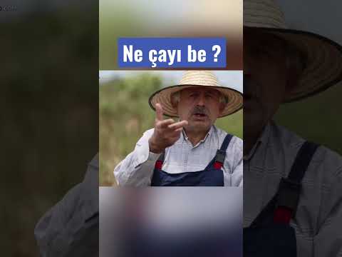 Ne çayı be?
