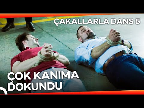 Küçücük Çocuktan Özür Falan Dilemeyiz | Çakallarla Dans 5